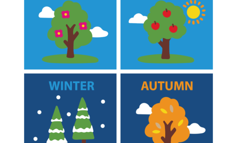 the season i like most composition