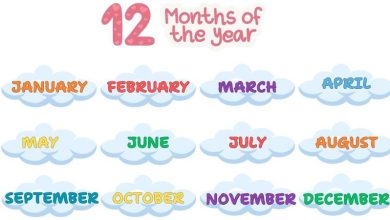 Photo of 12 Month Name: English ও বাংলা মাসের নাম একসঙ্গে